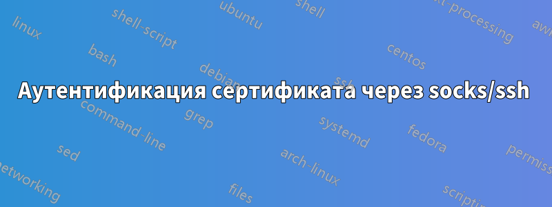 Аутентификация сертификата через socks/ssh