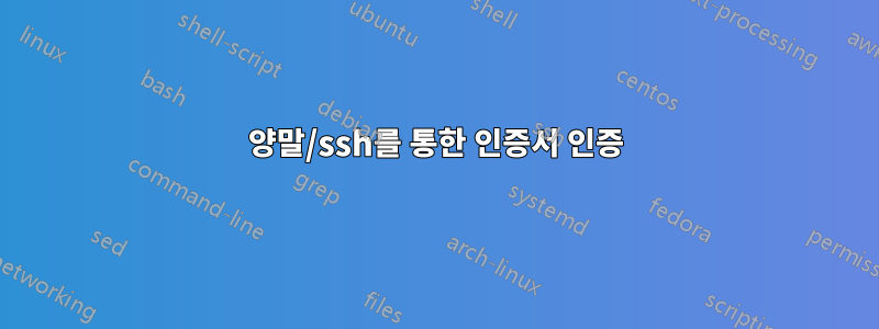 양말/ssh를 통한 인증서 인증