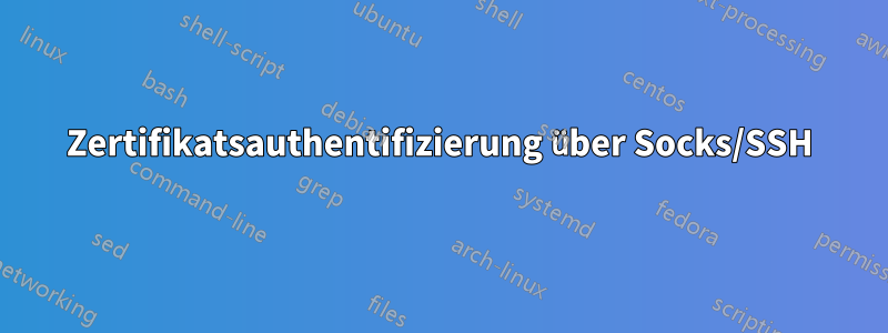 Zertifikatsauthentifizierung über Socks/SSH