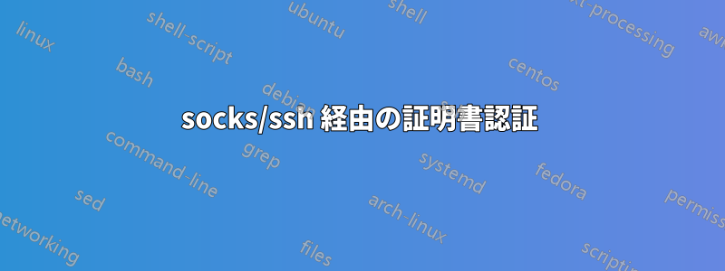 socks/ssh 経由の証明書認証