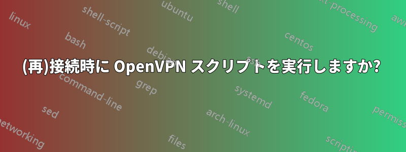 (再)接続時に OpenVPN スクリプトを実行しますか?