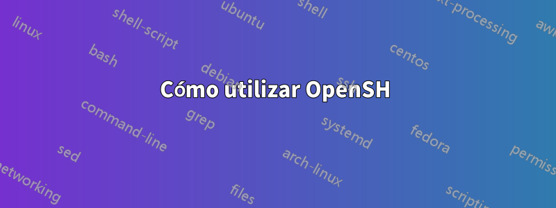 Cómo utilizar OpenSH