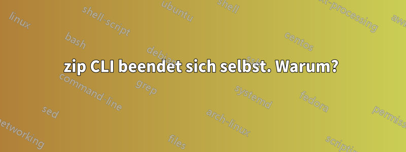 7zip CLI beendet sich selbst. Warum?