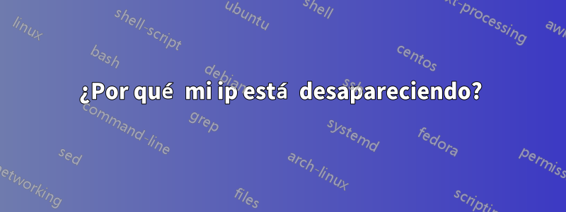 ¿Por qué mi ip está desapareciendo?