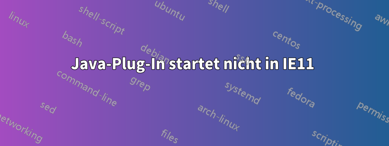 Java-Plug-In startet nicht in IE11