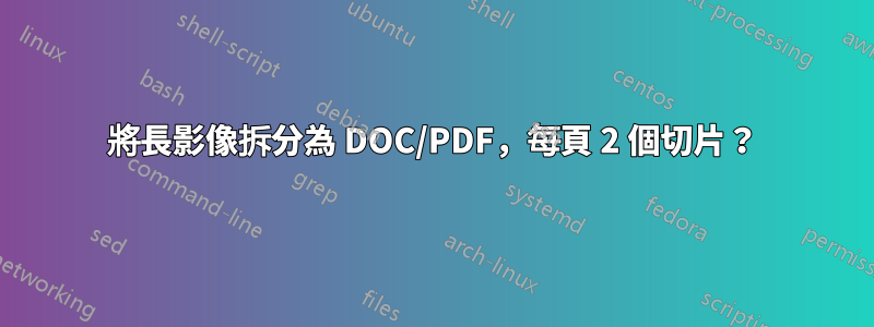 將長影像拆分為 DOC/PDF，每頁 2 個切片？