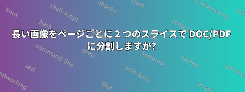 長い画像をページごとに 2 つのスライスで DOC/PDF に分割しますか?