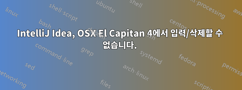 IntelliJ Idea, OSX El Capitan 4에서 입력/삭제할 수 없습니다.