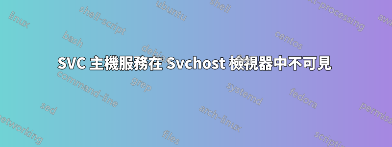 SVC 主機服務在 Svchost 檢視器中不可見