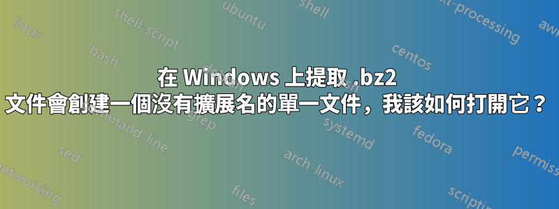 在 Windows 上提取 .bz2 文件會創建一個沒有擴展名的單一文件，我該如何打開它？