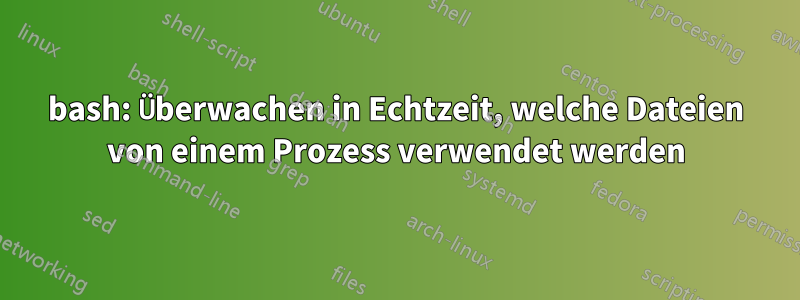 bash: Überwachen in Echtzeit, welche Dateien von einem Prozess verwendet werden