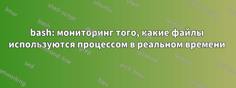 bash: мониторинг того, какие файлы используются процессом в реальном времени