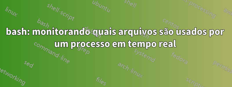 bash: monitorando quais arquivos são usados ​​por um processo em tempo real