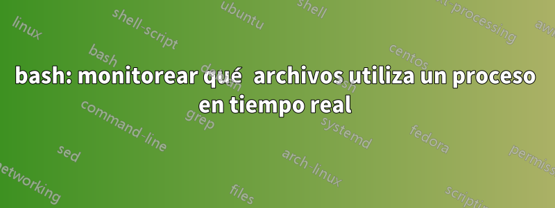 bash: monitorear qué archivos utiliza un proceso en tiempo real