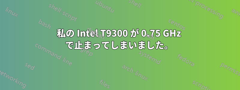 私の Intel T9300 が 0.75 GHz で止まってしまいました。