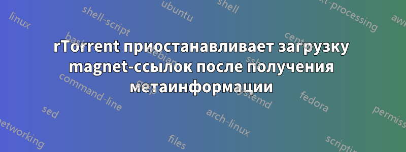 rTorrent приостанавливает загрузку magnet-ссылок после получения метаинформации