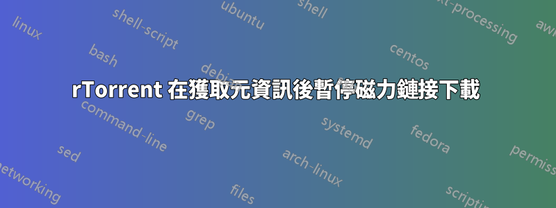 rTorrent 在獲取元資訊後暫停磁力鏈接下載