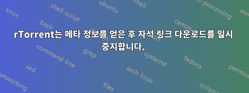 rTorrent는 메타 정보를 얻은 후 자석 링크 다운로드를 일시 중지합니다.