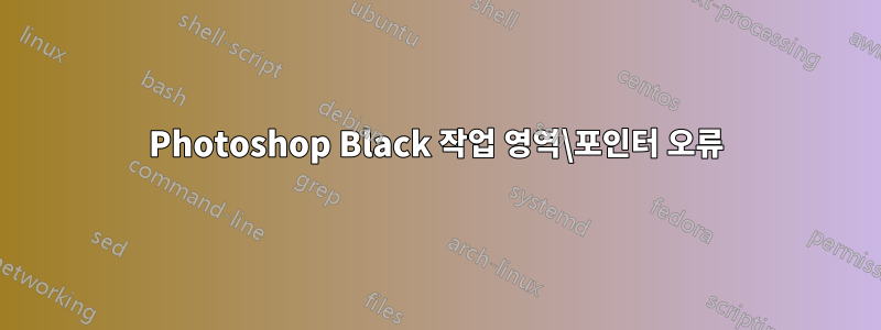 Photoshop Black 작업 영역\포인터 오류