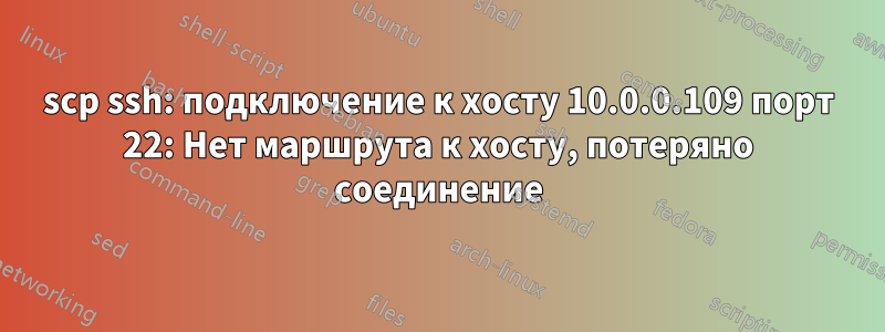 scp ssh: подключение к хосту 10.0.0.109 порт 22: Нет маршрута к хосту, потеряно соединение