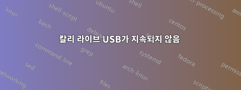 칼리 라이브 USB가 지속되지 않음