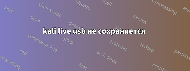 kali live usb не сохраняется
