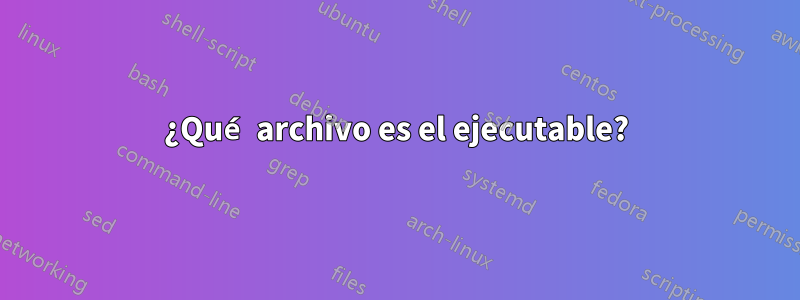 ¿Qué archivo es el ejecutable?