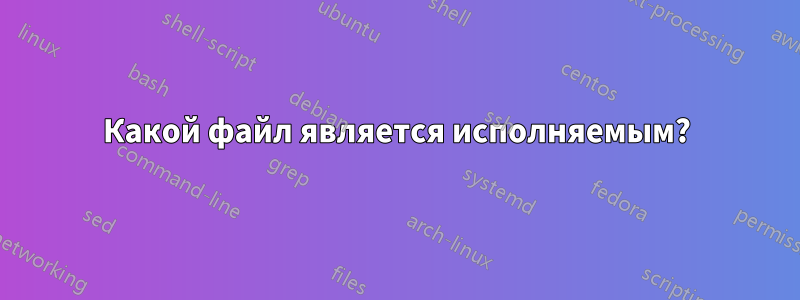 Какой файл является исполняемым?