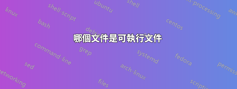 哪個文件是可執行文件