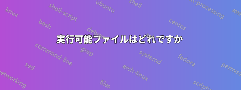 実行可能ファイルはどれですか