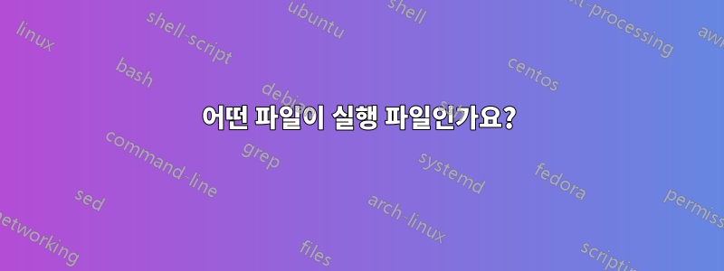 어떤 파일이 실행 파일인가요?