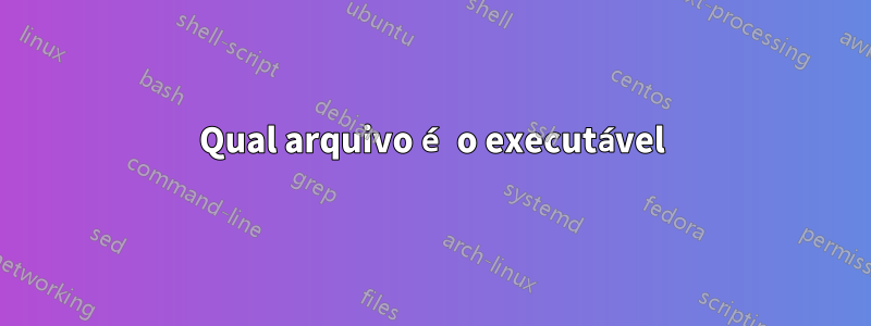Qual arquivo é o executável