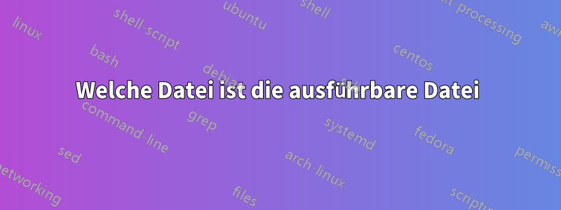 Welche Datei ist die ausführbare Datei