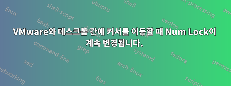 VMware와 데스크톱 간에 커서를 이동할 때 Num Lock이 계속 변경됩니다.