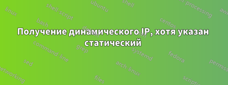 Получение динамического IP, хотя указан статический