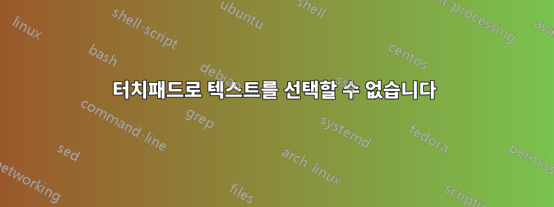 터치패드로 텍스트를 선택할 수 없습니다