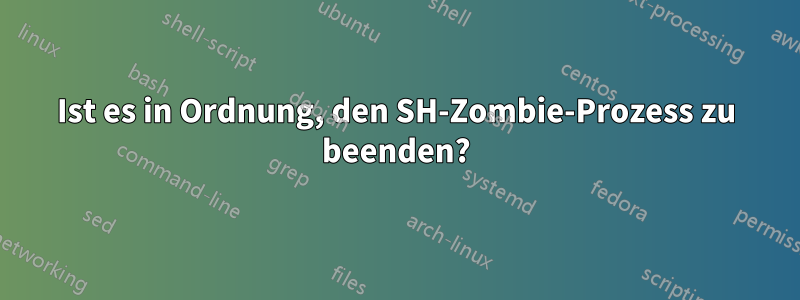 Ist es in Ordnung, den SH-Zombie-Prozess zu beenden?
