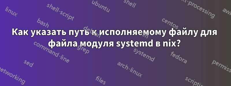 Как указать путь к исполняемому файлу для файла модуля systemd в nix?