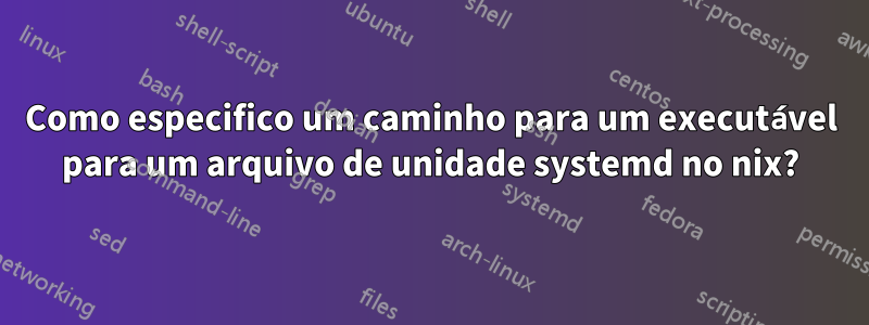 Como especifico um caminho para um executável para um arquivo de unidade systemd no nix?