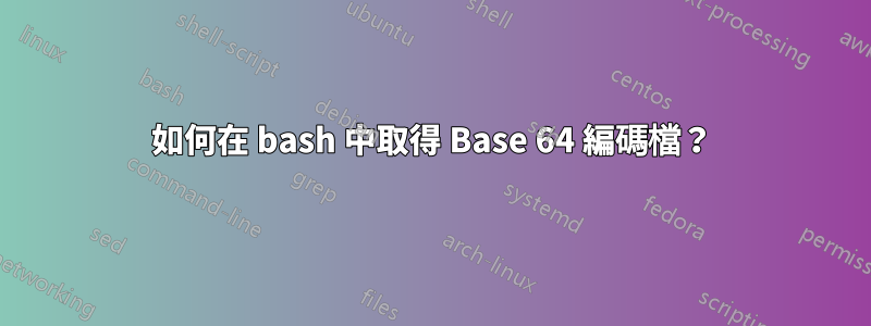 如何在 bash 中取得 Base 64 編碼檔？