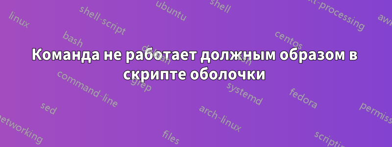 Команда не работает должным образом в скрипте оболочки
