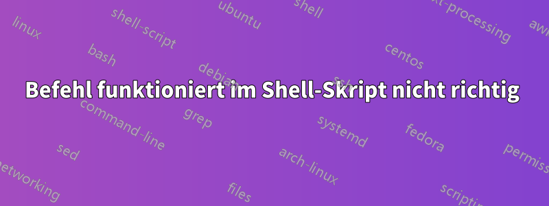 Befehl funktioniert im Shell-Skript nicht richtig