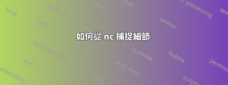 如何從 nc 捕捉細節