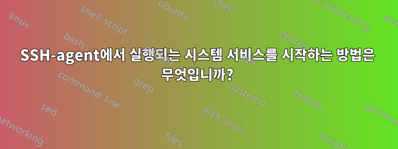 SSH-agent에서 실행되는 시스템 서비스를 시작하는 방법은 무엇입니까?