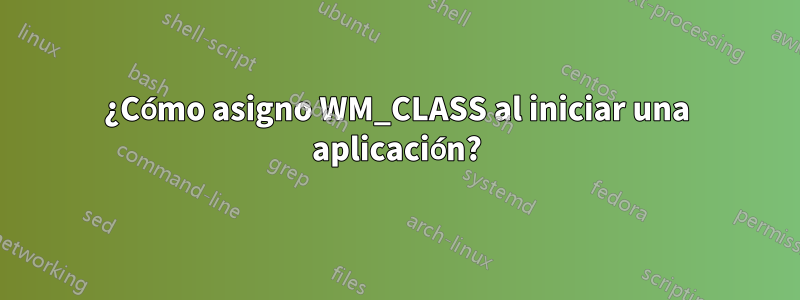 ¿Cómo asigno WM_CLASS al iniciar una aplicación?