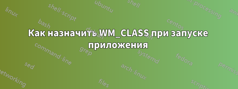 Как назначить WM_CLASS при запуске приложения