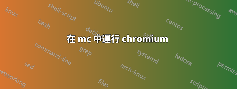 在 mc 中運行 chromium