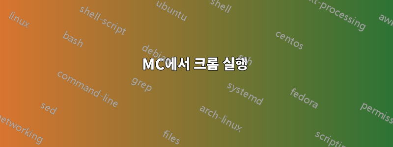 MC에서 크롬 실행