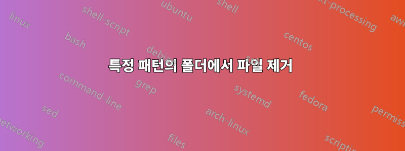특정 패턴의 폴더에서 파일 제거