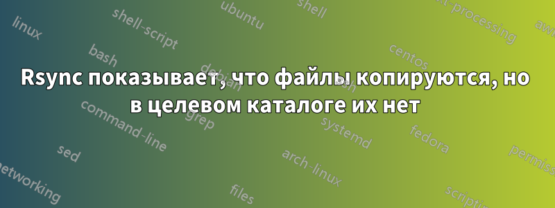 Rsync показывает, что файлы копируются, но в целевом каталоге их нет